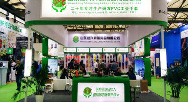 Компания Шаньдун Шуньсин Продукты Охраны Труда, Лтд. приняла участие в выставке, вот сцена картины