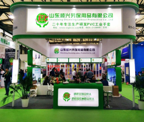Компания Шаньдун Шуньсин Продукты Охраны Труда, Лтд. приняла участие в выставке, вот сцена картины